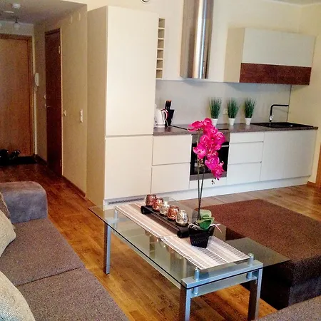 City Center - Narva Mnt Apartment Tallinn