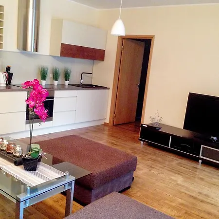 Apartment City Center - Narva Mnt *