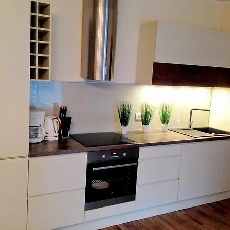City Center - Narva Mnt Apartment Tallinn
