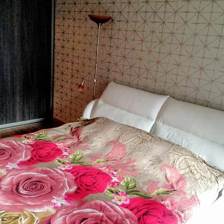 Apartment City Center - Narva Mnt